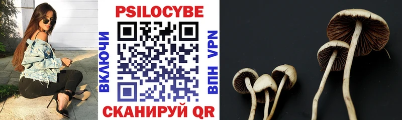 omg ССЫЛКА  купить  цена  Советская Гавань  Галлюциногенные грибы Psilocybine cubensis 